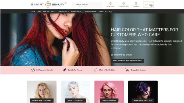 Smart Beauty's Ecommerce Success Story: How Digital Marketing and User-Friendly Design Boosted Sales