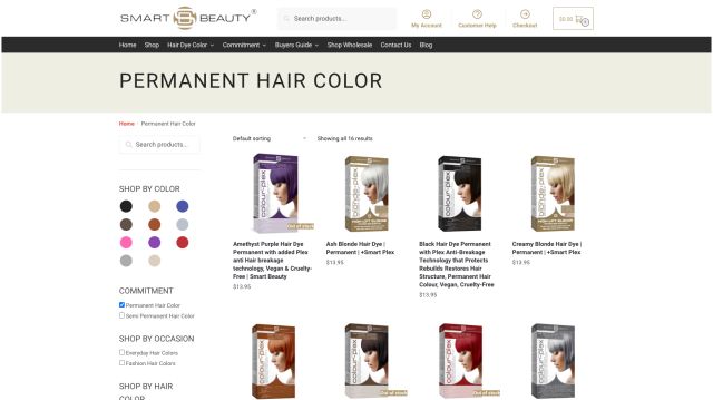Smart Beauty's Ecommerce Success Story: How Digital Marketing and User-Friendly Design Boosted Sales